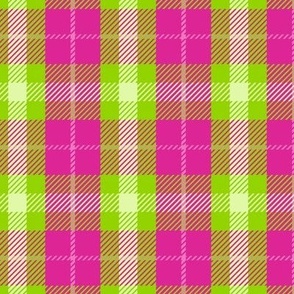 Boss Plaid Green and Pink/Large 12 SSJM24-A45