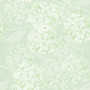 S grandmillennial Hydrangea flowers in soft monochromatic matcha green pistachio rococo