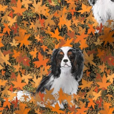 Cavalier King Charles Spaniel in Autumn Leaves