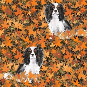 Cavalier King Charles Spaniel in Autumn Leaves