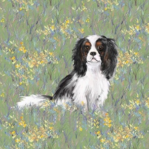 Cavalier King Charles Spaniel for Pillow in Green Wildflower Field