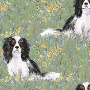 Cavalier King Charles Spaniel in Wildflower Field