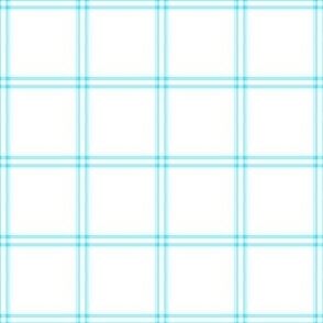 FS Turquoise on White Windowpane Plaid Check