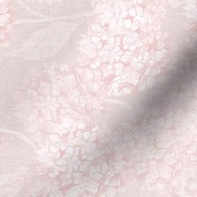 S romantic hydrangea flowers in soft monochromatic muted pastel pink beige rococo coquette girly