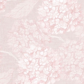 M feminine coquette girly hydrangea flowers in soft monochromatic muted very light pink quartz rococo coquette girly