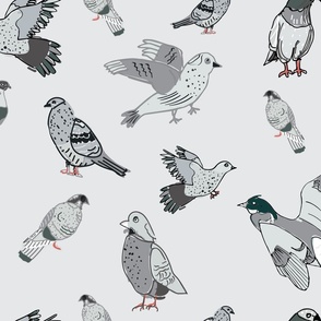 pigeon fabric