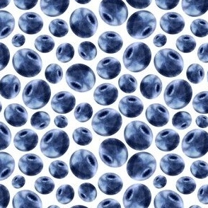Blueberries Summer Fruit Pattern