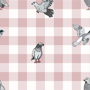 gingham and pigeons