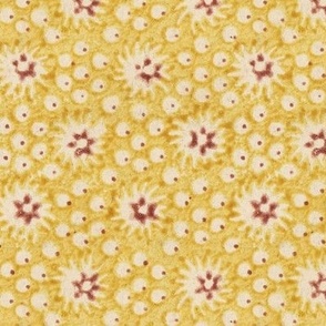 Starry yellow floral