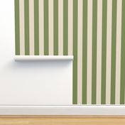 4 inch wide stripe, cabana vertical awning  stripes in green and linen beige.  