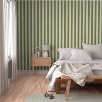 4 inch wide stripe, cabana vertical awning  stripes in green and linen beige.  