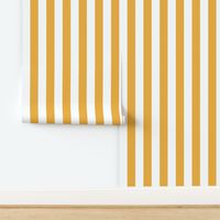 2 inch wide cabana vertical awning  stripes in orange and white.