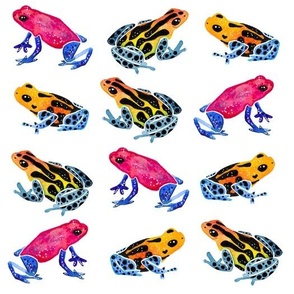 Poison Dart Frogs