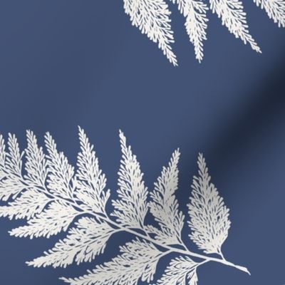 Large Scale Forest Ferns in Blue