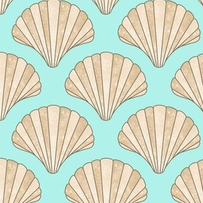 Coastal Seashells 