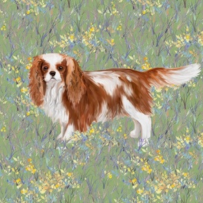 Blenheim Cavalier King Charles Spaniel in Wildflower Field on Green For Pillow