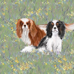 Two Cavalier King Charles Spaniels in Wildflower Field on Green for Pillow