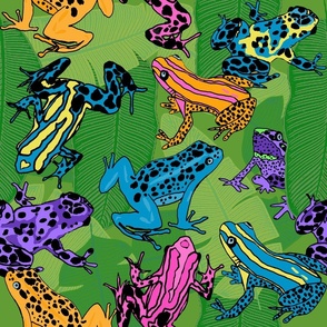 Poison Dart Frogs in a Rain Forest