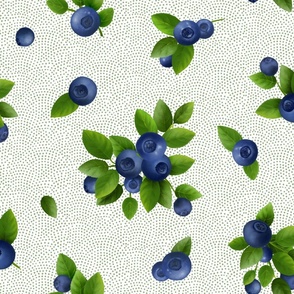 Blueberries - twigs and berries on a dotted background. Blueberry Collection.