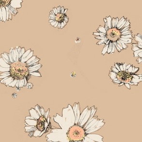 Large Scale Hand Drawn Pencil White Daisies Spaced Out on Honey Peach