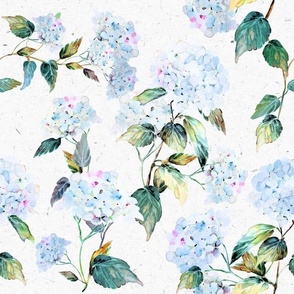 Large Blue and White Hydrangea Flowers / Pastel / Leaves / Floral 