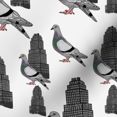 Pigeon city