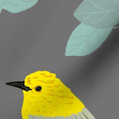 Little yellow bird