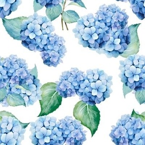 Blue Hydrangeas