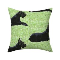 Giant Schnauzer In The Grass fabric