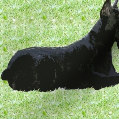 Giant Schnauzer In The Grass fabric