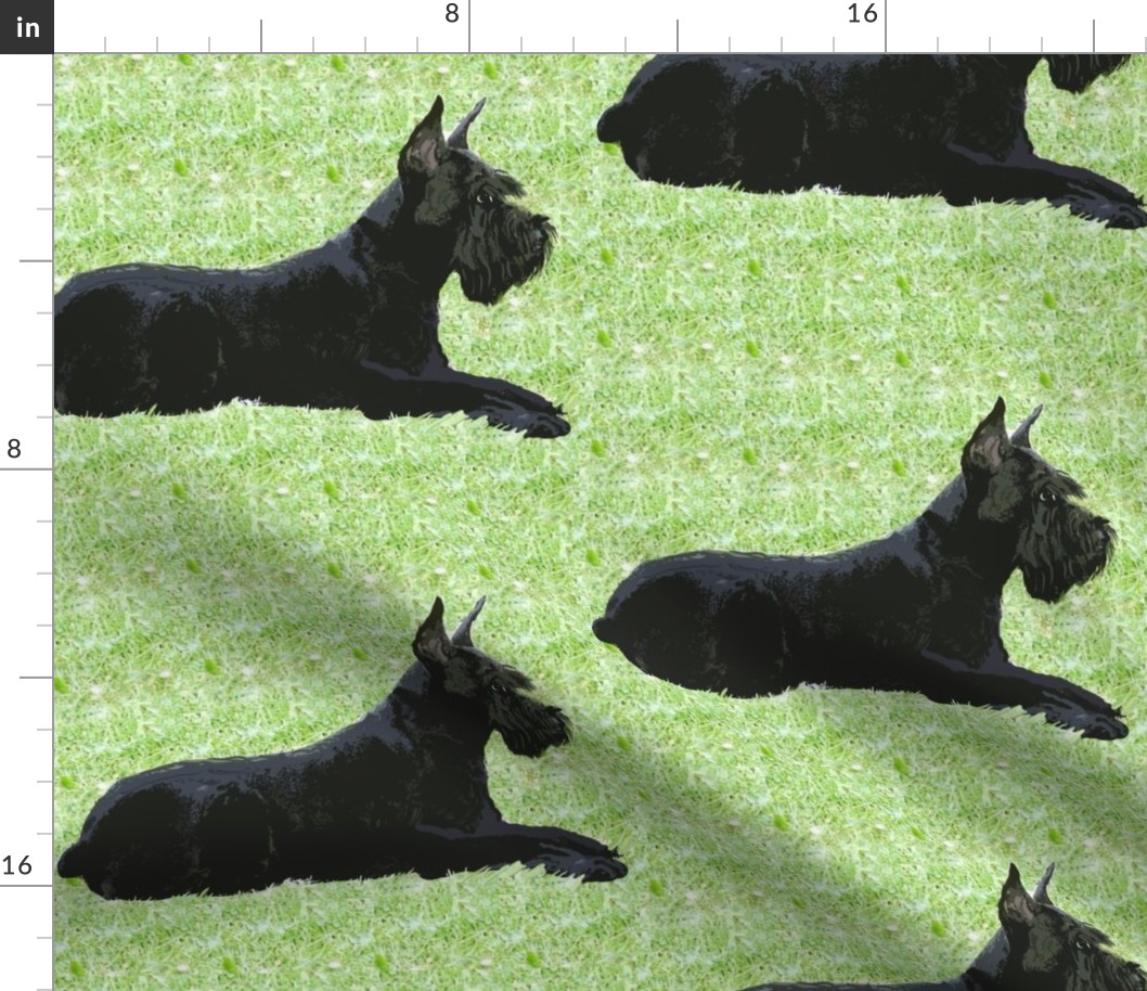 Giant Schnauzer In The Grass fabric