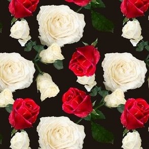 Red and White roses on Black