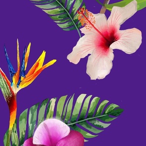 Tropical Blooms (Purple)