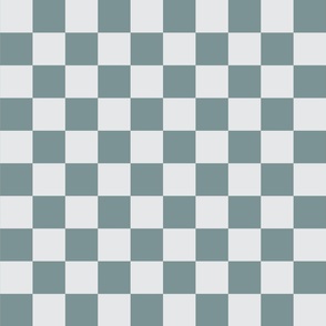 Blue Grey Checkers