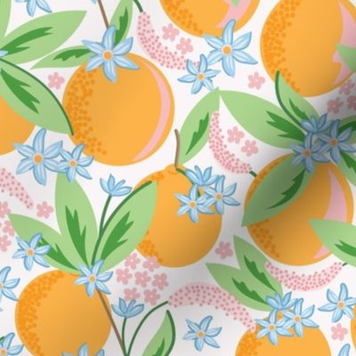 Medium-Scale Clementine Oranges with blooms and citrus flowers with cream background