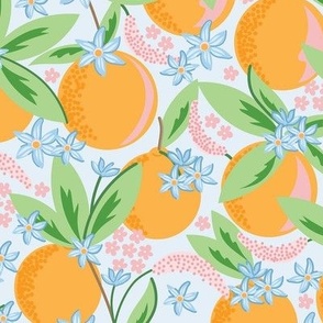 Medium-Scale  Clementine Oranges with blooms and citrus flowers with blue background
