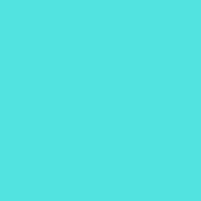 Turquoise teal plain solid color || colorful dots coordinate 