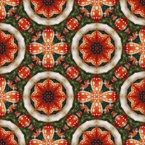 Red Mushroom kaleidoscope  