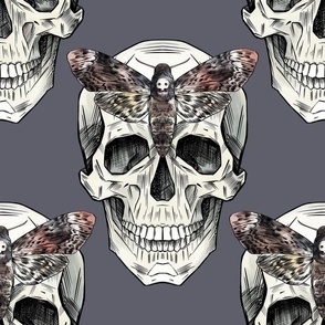 Skull and moth