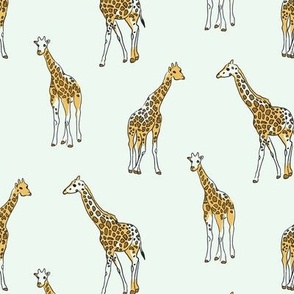 Giraffes Standing
