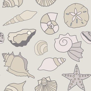 Seashells - Calm Neutral