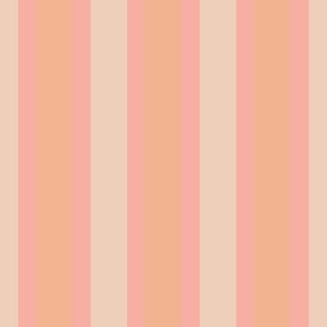 Pantone Color of the Year 2024 Peach Fuzz Pink Stripe