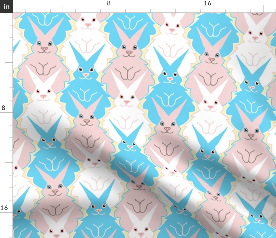 Bunny Rabbits Begging Baby Blue Pink and White