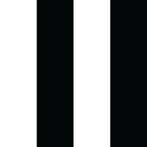 Black and White 4-Inch Wide Vertical Stripes