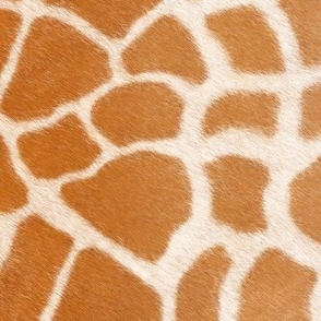 Soft Fuzzy Giraffe Skin