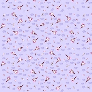 lavender crocus 2