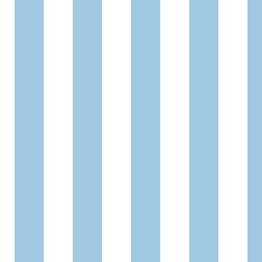 2 inch Summertime Sky Blue Awning Stripes