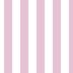 2 inch Strawberry Milkshake Pink Awning Stripes