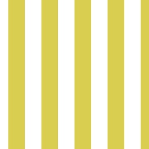 2 inch Sunshine Lemon Yellow Awning Stripes