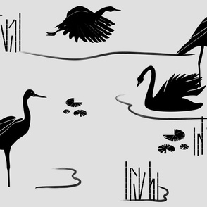 waterbirds